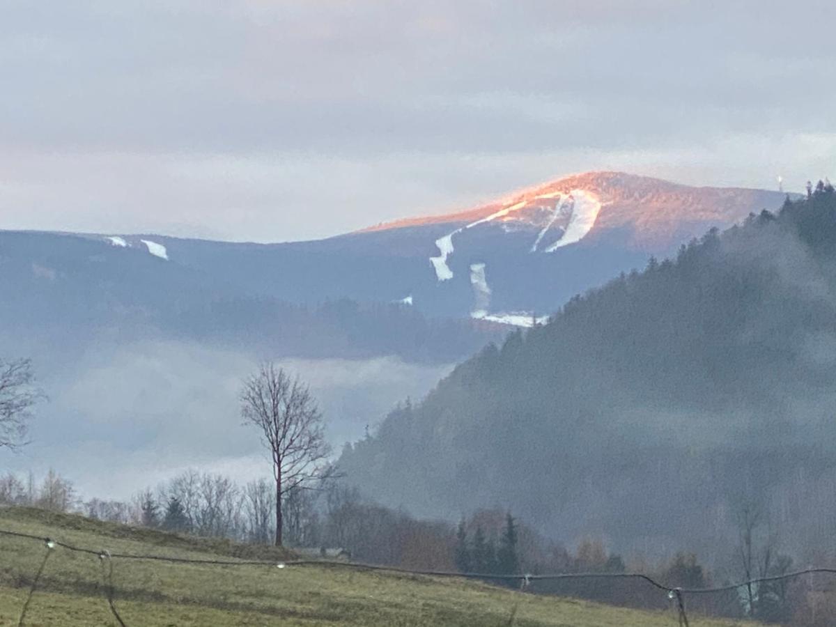 Domki Pod Lasem - Domek Brzozowy สโตรเนีย ชล็องสเกีย ภายนอก รูปภาพ