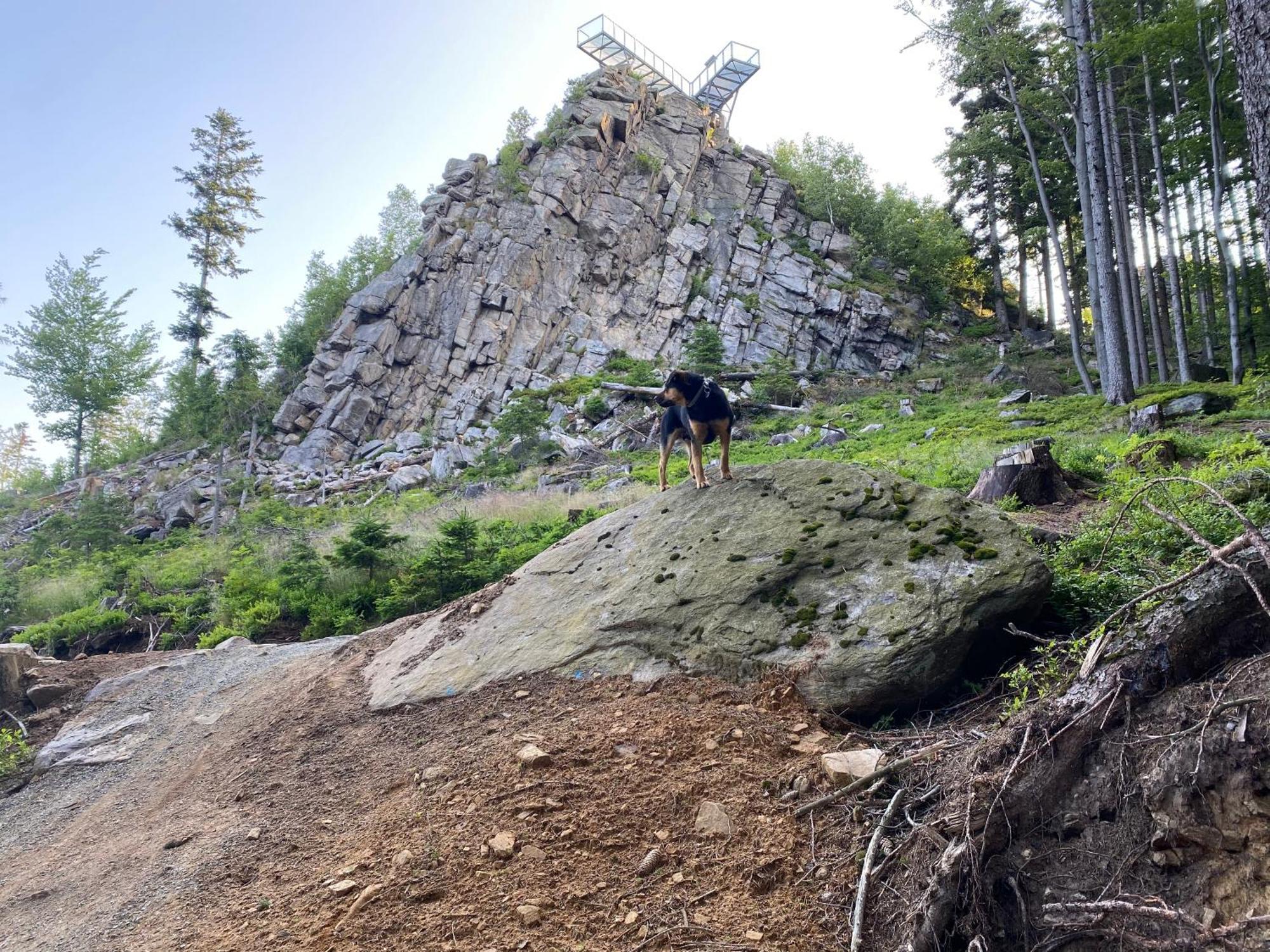 Domki Pod Lasem - Domek Brzozowy สโตรเนีย ชล็องสเกีย ภายนอก รูปภาพ